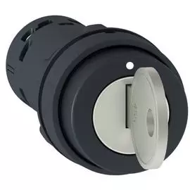 Переключатель Schneider Electric XB7NG21