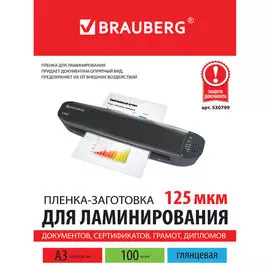 Пленка BRAUBERG 530799