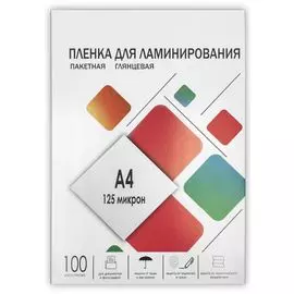 Картридж LPA4-125 Пленка для ламинирования A4, 216х303 (125 мкм) глянцевая 100шт, ГЕЛЕОС [LPA4-125]