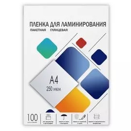 Картридж LPA4-250 Пленка для ламинирования A4, 216х303 (250 мкм) глянцевая 100шт, ГЕЛЕОС [LPA4-250]