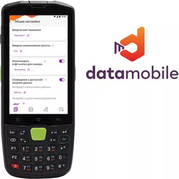 ПО DataMobile DMOnline версия Online - LifeTime