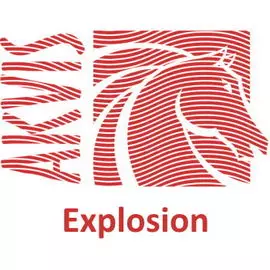 Право на использование (электронно) Akvis Explosion Business Plugin+Standalone