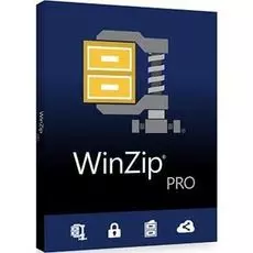 Право на использование (электронно) WinZip 25 Pro License ML (2-9)