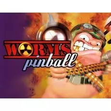 Право на использование (электронный ключ) Team 17 Worms Pinball