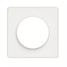 Рамка Schneider Electric S52P802