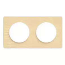 Рамка Schneider Electric S52P804M