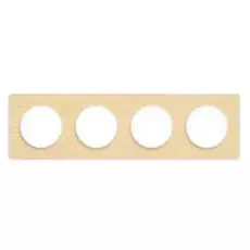 Рамка Schneider Electric S52P808M