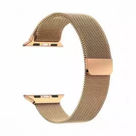 Ремешок на руку Lyambda CAPELLA DS-APM02-44-RG из нержавеющей стали для Apple Watch 42/44 mm rose gold