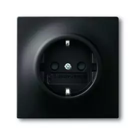 Розетка ABB 2CKA002011A3886