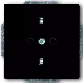 Розетка ABB 2CKA002011A6215