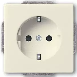 Розетка ABB 2CKA002011A6245