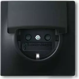 Розетка ABB 2CKA002018A1496