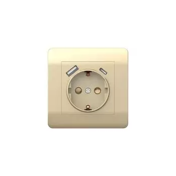 Розетка CHINT 431453 NЕW3-E 16А с заземл. защ. шторки с 2-мя заряд. устройствами USB A+C 5В/2.1А шампань