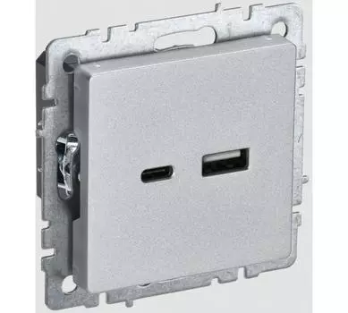 Розетка IEK BR-U22-018-K47 BRITE USB A+C 18Вт РЮ11-1-БрА алюм.