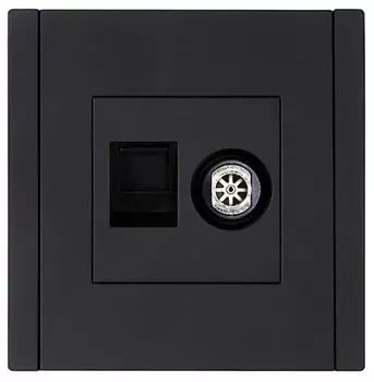 Розетка комбинированная IEK FP-AK20-1-K02 FORTE&PIANO TV+RJ45 кат.5E FP136 черный
