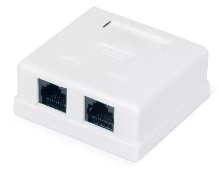 Розетка компьютерная WRLine WR-WS-8P8C-C5E-2 RJ-45, категория 5e, неэкранированная, двойная, внешняя, Dual IDC, цвет белый