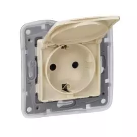 Розетка Legrand 672332 с/з IP 44 с крышкой и шторками, автоматические клеммы, 16А, Etika, cлоновая к
