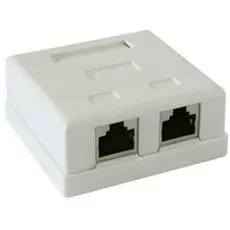 Розетка настенная Cablexpert NAS214 RJ-45 кат.STP 5e внешняя экранированная 2 порта, 110&Krone