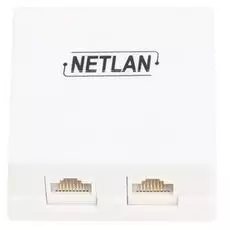 Компьютерная розетка настенная Netlan EC-UWO-2-UD2-WT-10 2 порта, Кат.5e (Класс D), 100МГц, RJ45/8P8C, 110, T568A/B, неэкранированная, белая, уп-ка 10