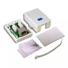 Компьютерная розетка настенная TWT TWT-SM1-45-WH 1 порт RJ-45, категории 5е, белая