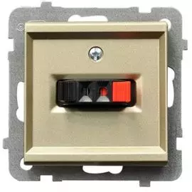 Розетка Ospel GG-1R/m/39 для динамиков, одинарная, подключаемость проводов 0, 75мм2, шампанский золотой