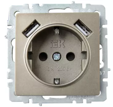 Розетка с заземлением IEK BR-R14-16-U21-D31-K37 BRITE с защитными шторками 16А с USB A+A 3,1А РЮш10-2-БрШ Шампань