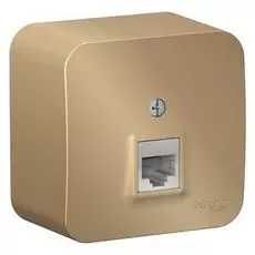 Розетка Schneider Electric BLNIA011004 ТЛФ RJ11 изолир. пластина Титан наруж