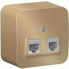 Розетка Systeme Electric BLNIA045114 2-ая ТЛФ/КОМП, RJ45+RJ11, кат.5E, изолир. пластина Титан наруж
