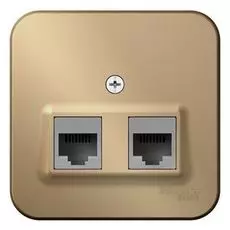 Розетка Systeme Electric BLNIA045454 2-ая компьютерная RJ45, кат.5E, изолир. пластина Титан наруж