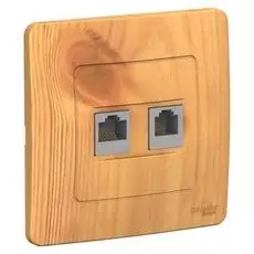 Розетка Schneider Electric BLNIS045115