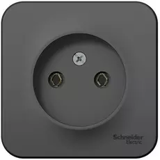 Розетка Systeme Electric BLNRA000106 б/з без шторок, 16А, 250В Антрацит наруж