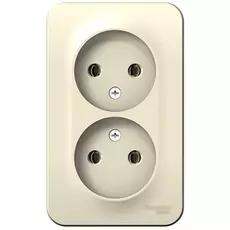 Розетка Systeme Electric BLNRA000202 2-ая б/з без шторок, 16А, 250В Молочная наруж