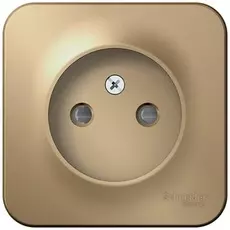 Розетка Schneider Electric BLNRA001104