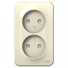 Розетка Schneider Electric BLNRA001212 2-ая б/з со шторками 16А, 250В, изолир. пластина Молочная наруж