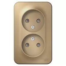 Розетка Systeme Electric BLNRA001214 2-ая б/з со шторками 16А, 250В, изолир. пластина Титан наруж