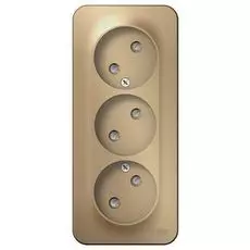 Розетка Schneider Electric BLNRA001314