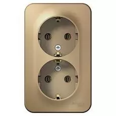 Розетка Schneider Electric BLNRA010204