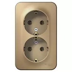 Розетка Schneider Electric BLNRA010214 2-ая с/з без шторок 16А, 250В, изолир. пластина Титан наруж