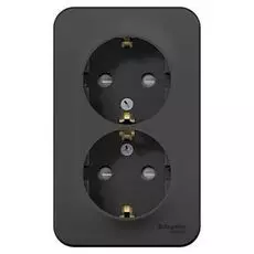 Розетка Schneider Electric BLNRA011216 2-ая с/з со шторками 16А, 250В, изолир. пластина Антрацит наруж