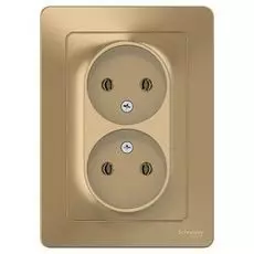 Розетка Schneider Electric BLNRS000024 2-ая б/з без шторок, 16А, 250В Титан внутр