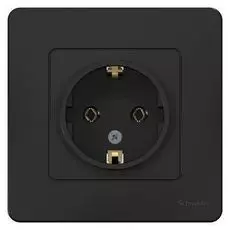 Розетка Schneider Electric BLNRS001016 с/з без шторок, 16А, 250В Антрацит внутр