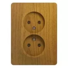 Розетка Schneider Electric GSL000520 2-я без заземления (в сборе с рамкой)