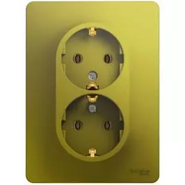 Розетка Systeme Electric GSL001024 Glossa 2-ая с/з (в сборе) фисташковый