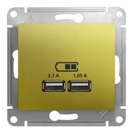 Розетка Schneider Electric GSL001033 Glossa Фисташковая USB 5В/2100мА, 2х5В/1050мА