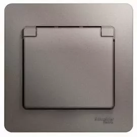 Розетка Schneider Electric GSL001246 Glossa с/з со шторками с крышкой IP20 (в сборе) платина