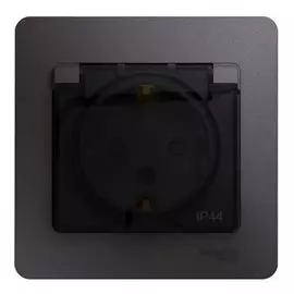 Розетка Schneider Electric GSL001348 Glossa с/з со шторками с крышкой IP44 (в сборе) графит