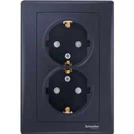 Розетка Schneider Electric SDN3000770 2-ая с/з с защитными шторками Sedna Графит