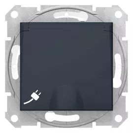 Розетка Schneider Electric SDN3100370 с/з с защитными шторками, с крышкой IP44 графит