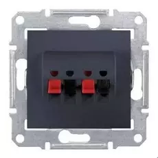 Розетка Schneider Electric SDN5400170