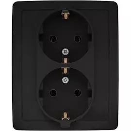 Розетка Simon 1590451-038 двойная с заземлением 2х2Р+Е, с защитными шторками,винт.зажим,16А, 250В,графит